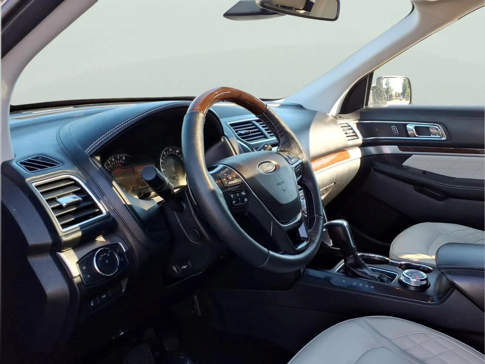 Used 2018 Magnetic Ford Platinum image 14