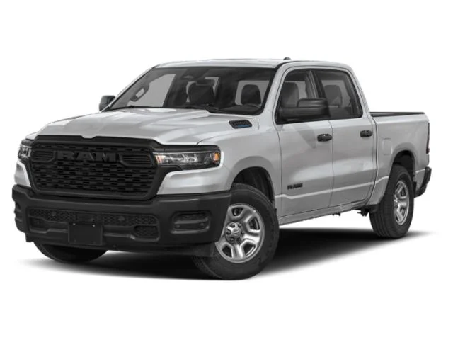 New 2026 Silver Zynith Exterior Paint RAM  image 1