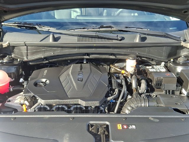 Used 2024 Black Kia EX image 29
