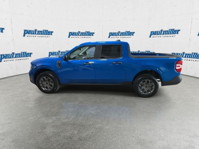 New 2026 Velocity Blue Ford XLT image 7
