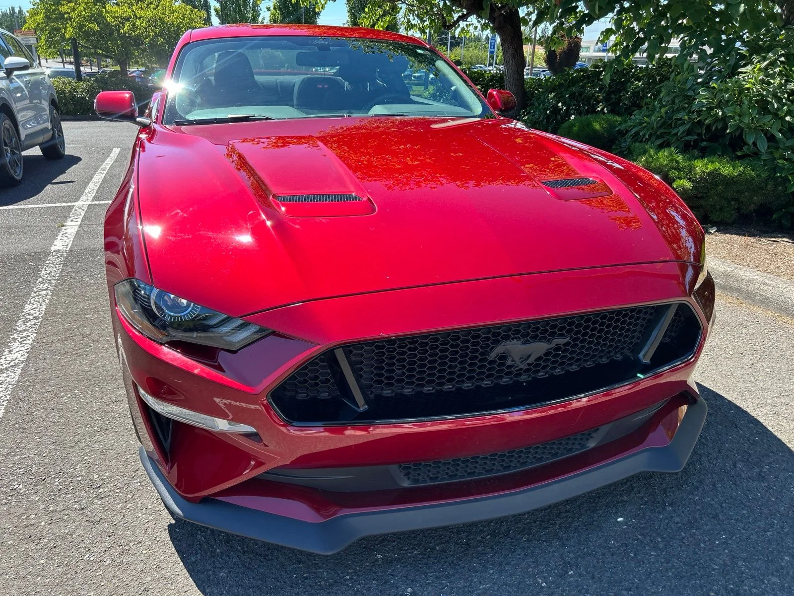 Used 2019 Ruby Red Metallic Ford GT image 3