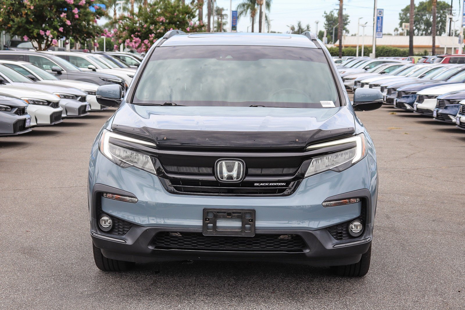 Certified Used 2022 Gray Pearl Honda Black Edition image 2