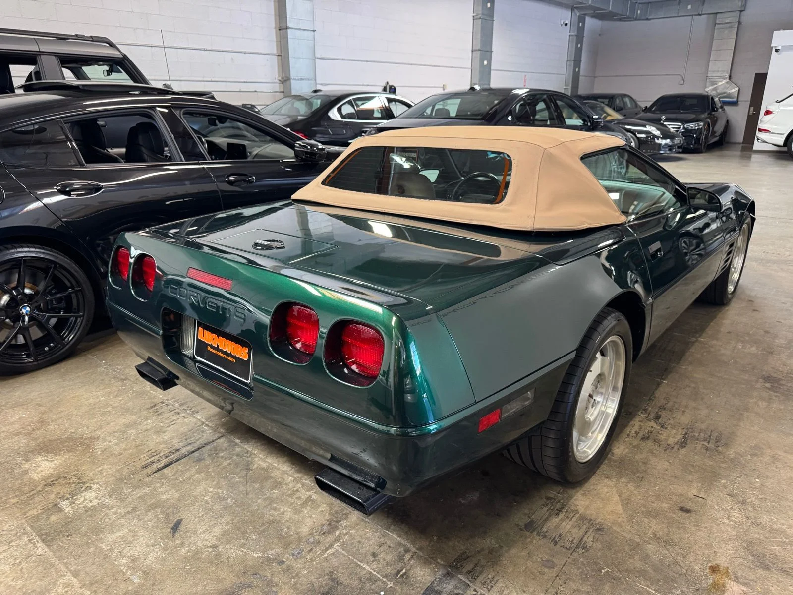 1994 Chevrolet Corvette - Photo 12