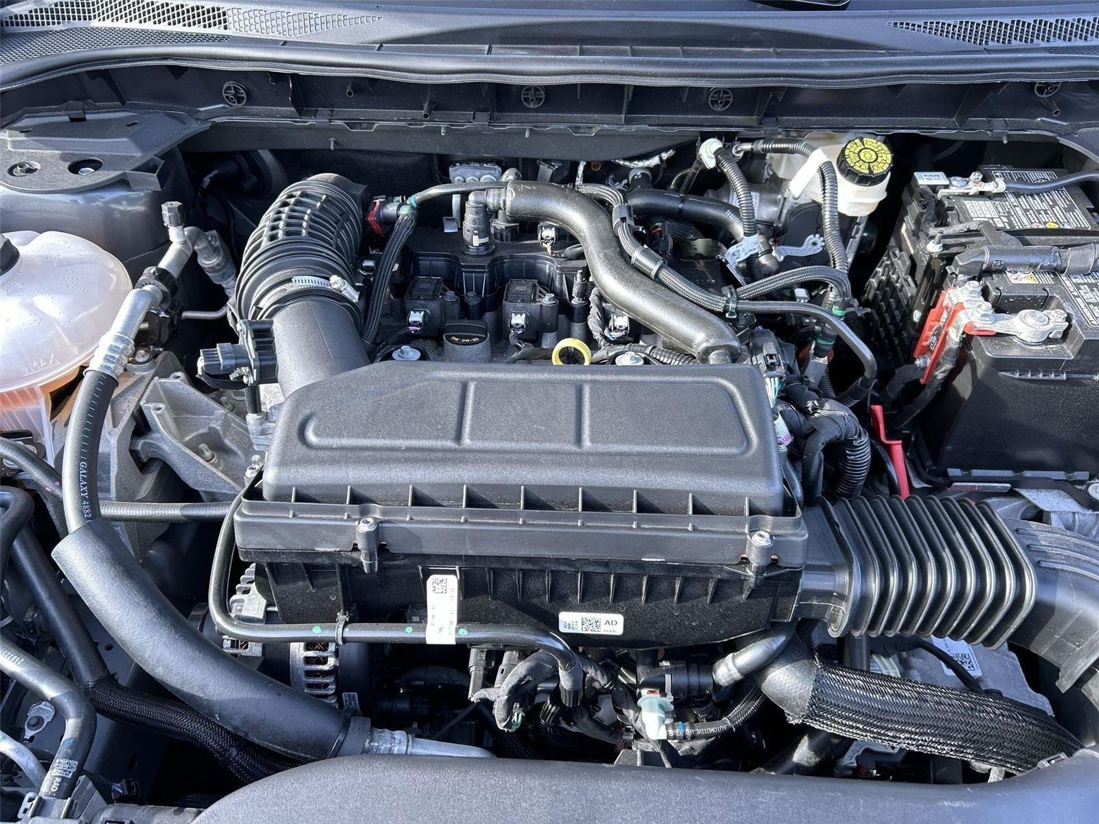 2025 Ford Escape ST-Line - Photo 24