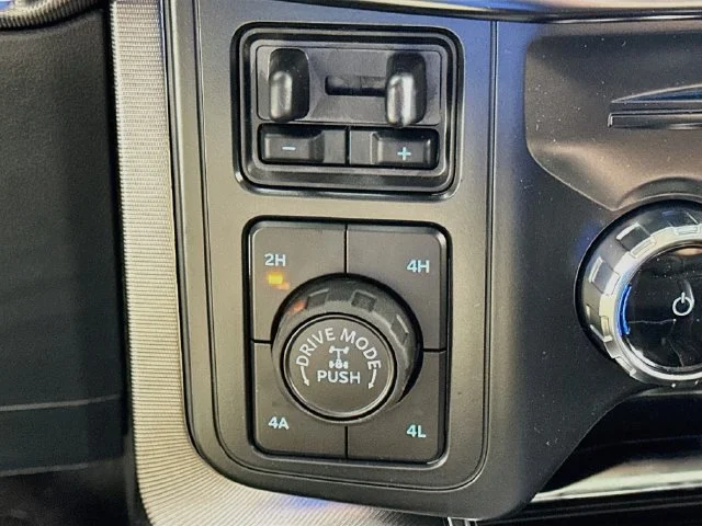 New 2026 Black Ford Platinum image 20