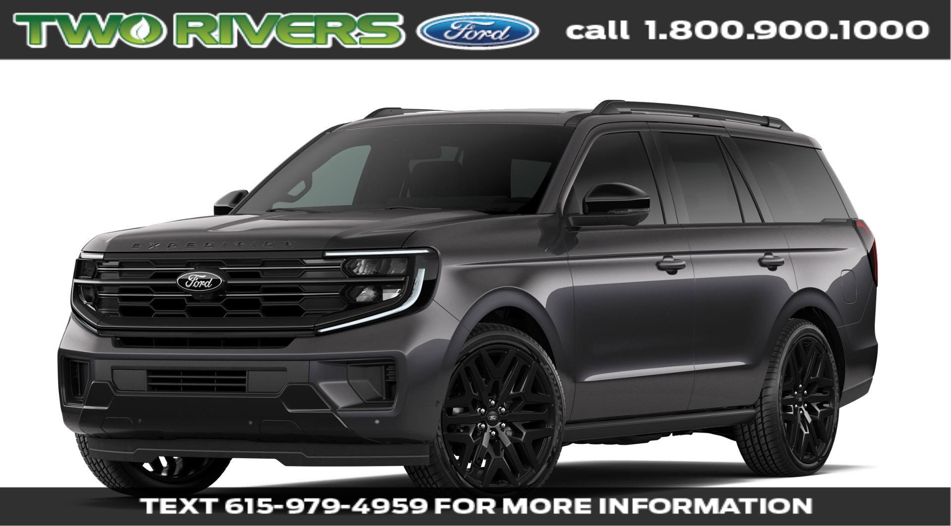 2026 Ford Expedition Platinum 4x4's photo