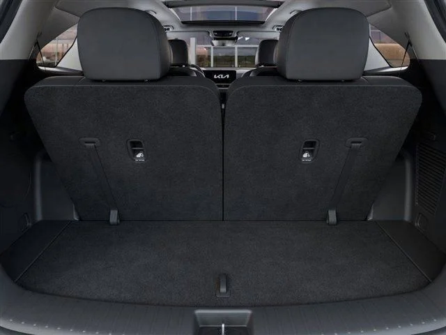 New 2026 Panthera Metal Kia X-Line SX AWD image 19