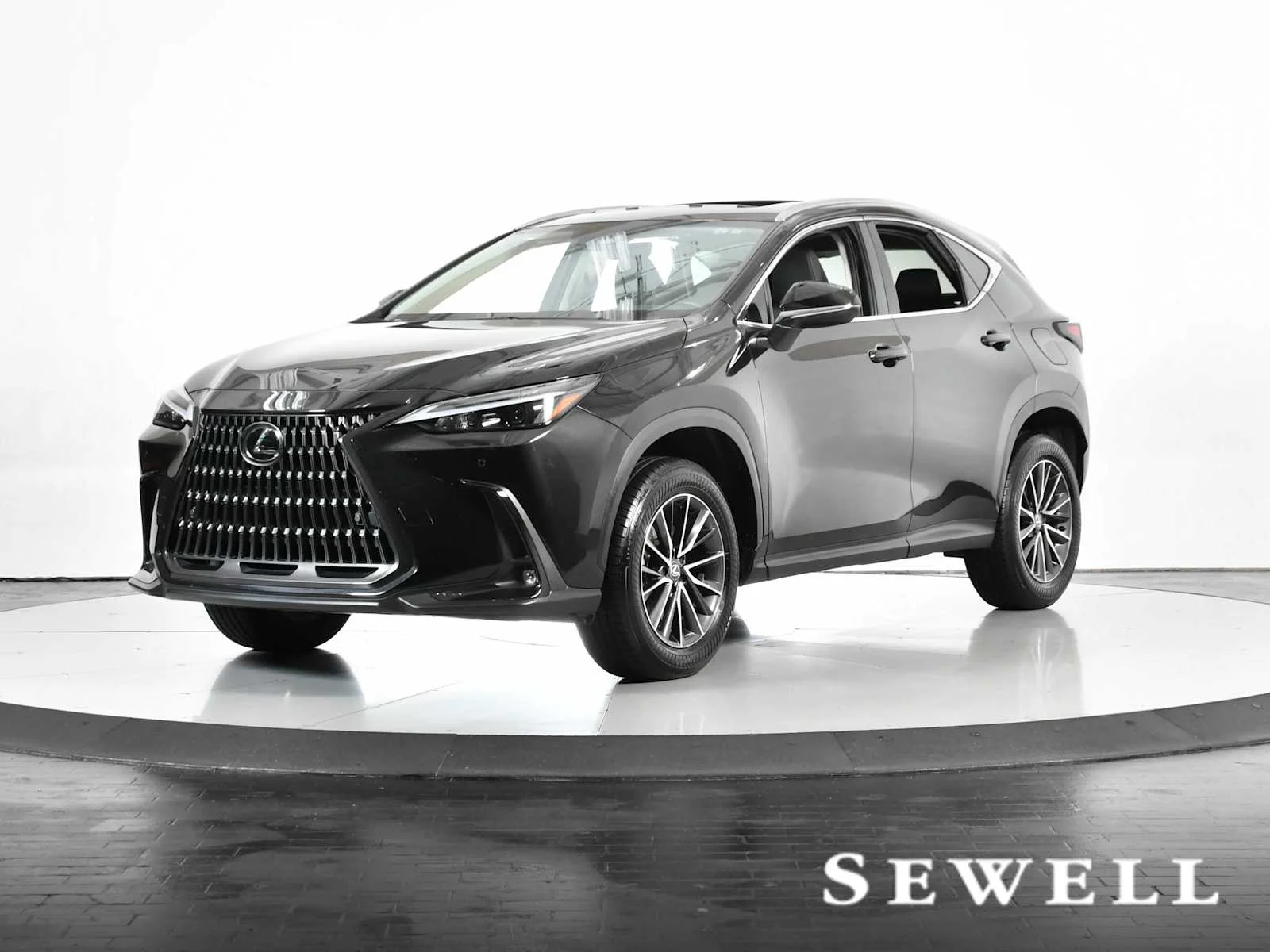 2025 Lexus NX 250 Premium