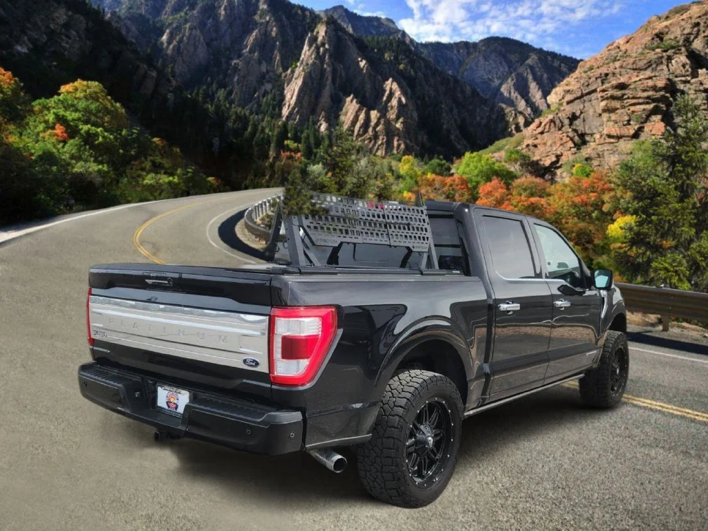 Used 2021 Black Ford Platinum image 3