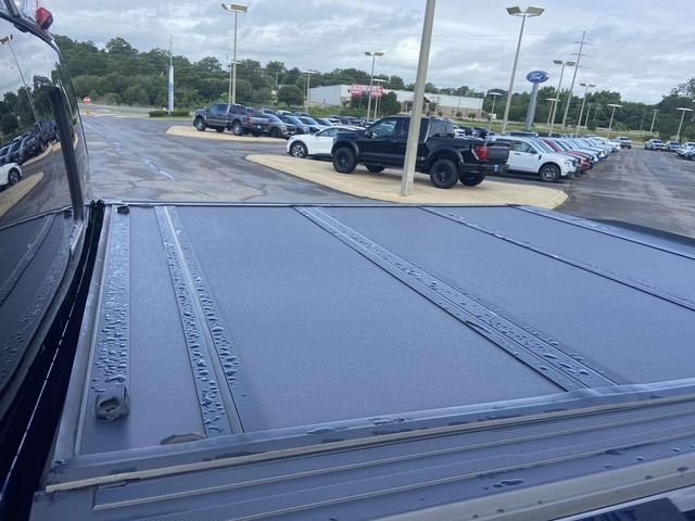 Used 2024 Blue Ford Platinum image 8