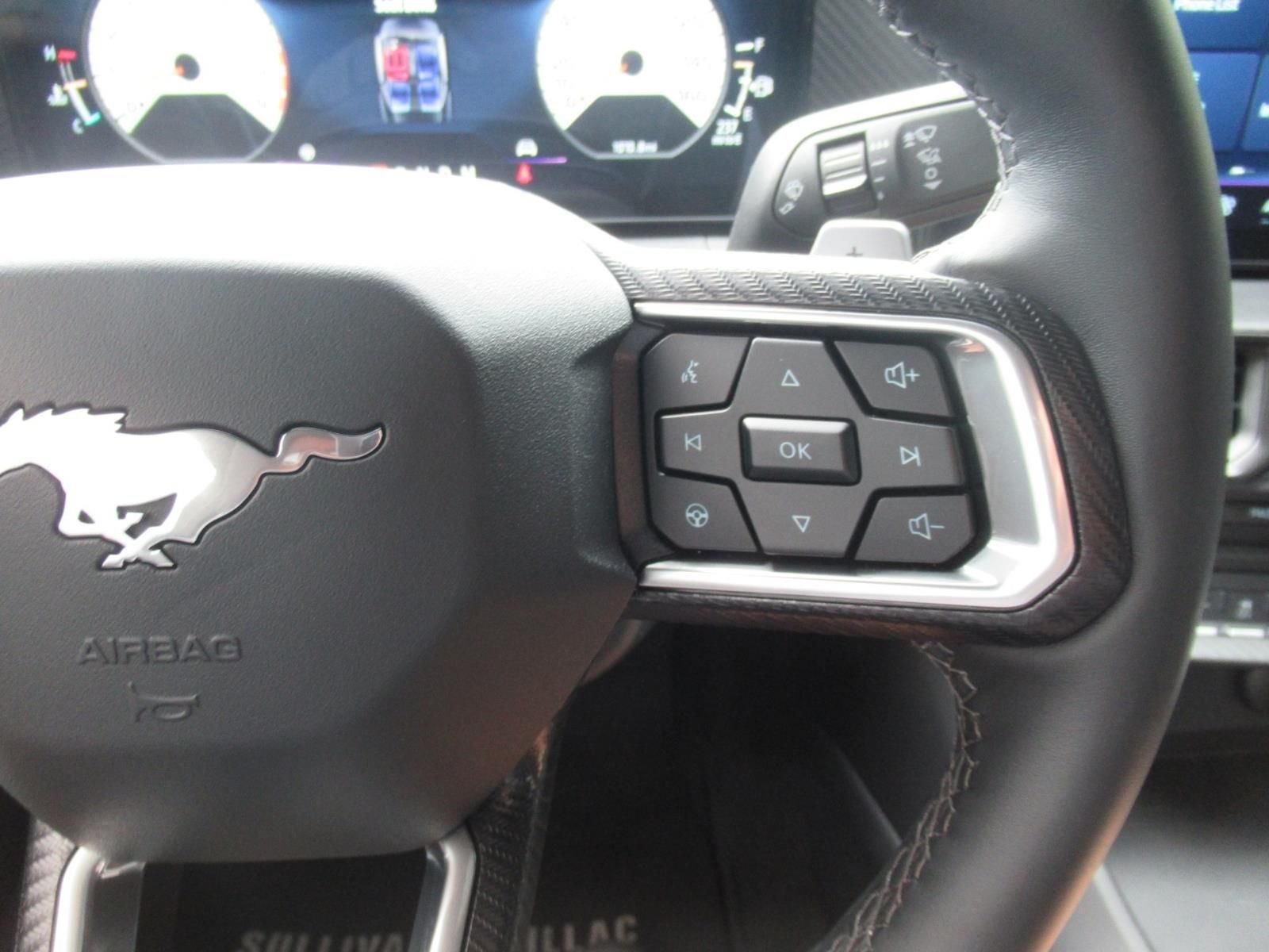 Used 2025 Black Ford GT image 26