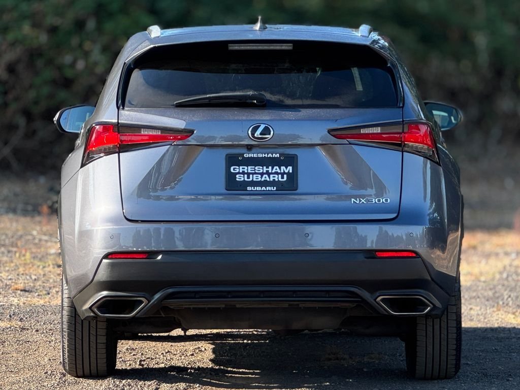 Used 2019 Atomic Silver Lexus 300 Base image 6
