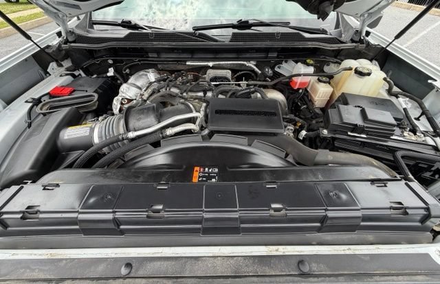 Photo 19