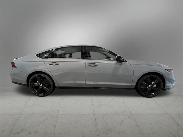 New 2026 Gray Honda Sport-L image 8