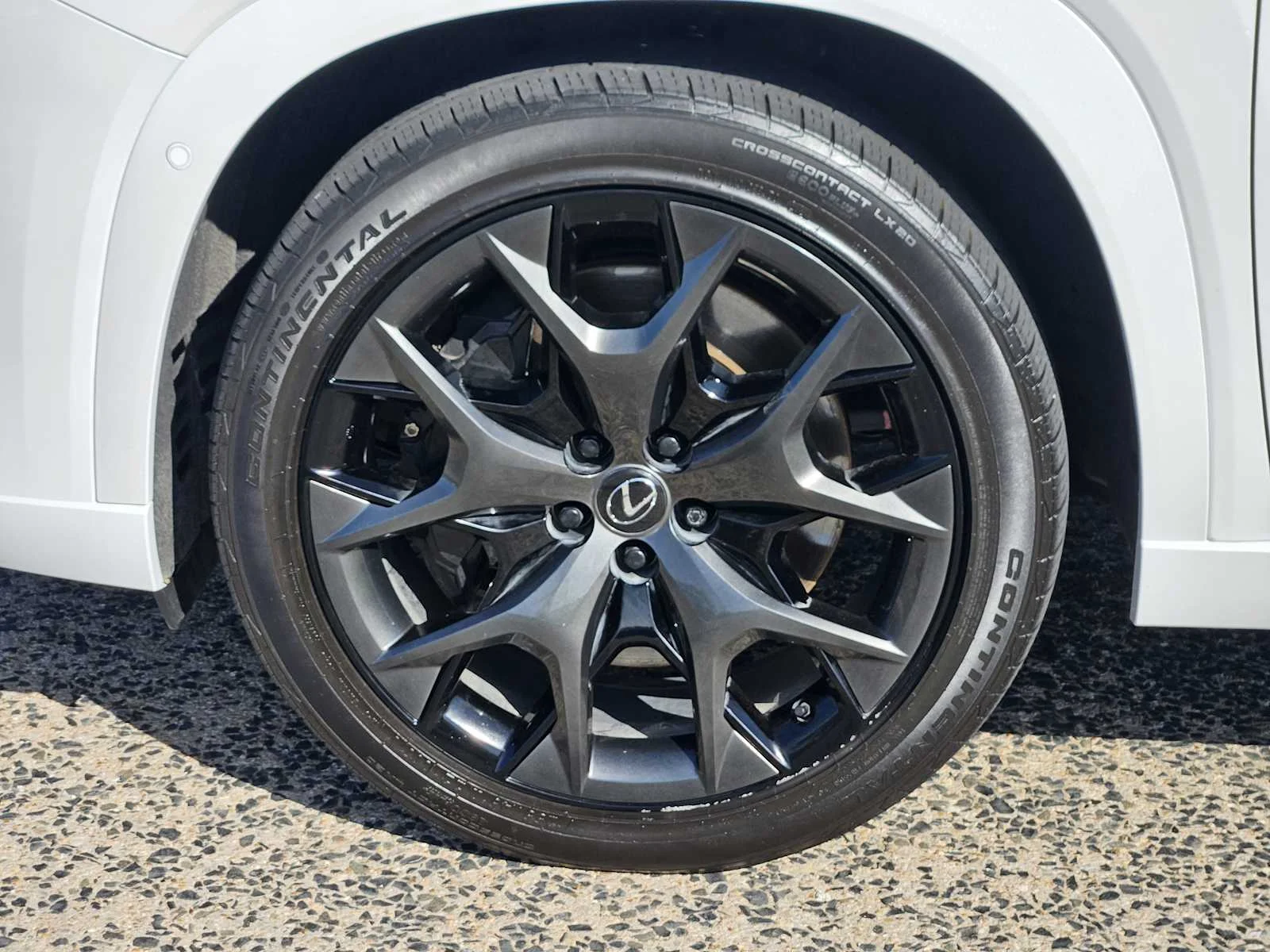 Certified Used 2024 WIND CHILL PEARL Lexus F SPORT Premium image 7