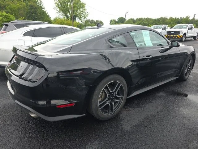 Used 2022 Shadow Black Ford EcoBoost Premium image 4