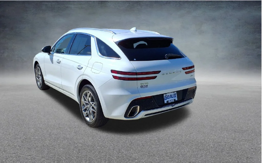Used 2025 White Genesis 2.5T image 5
