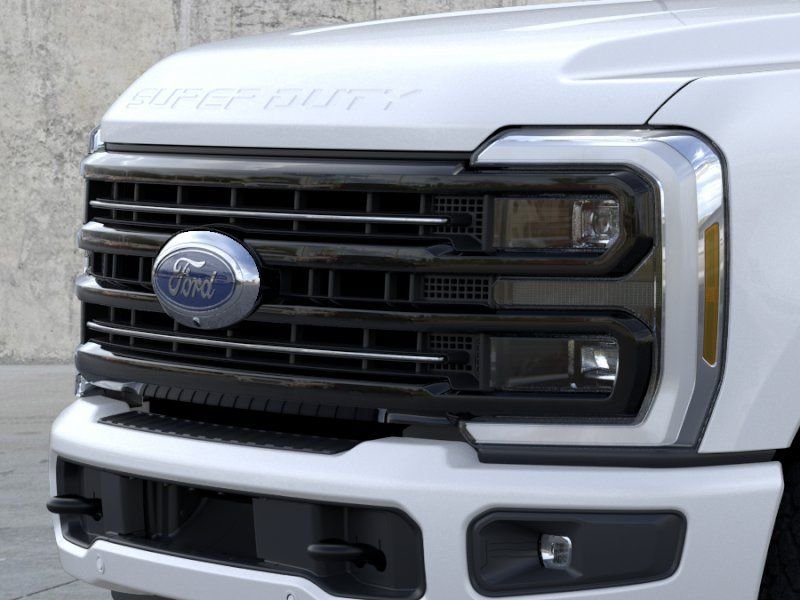 New 2026 White Ford Platinum image 17