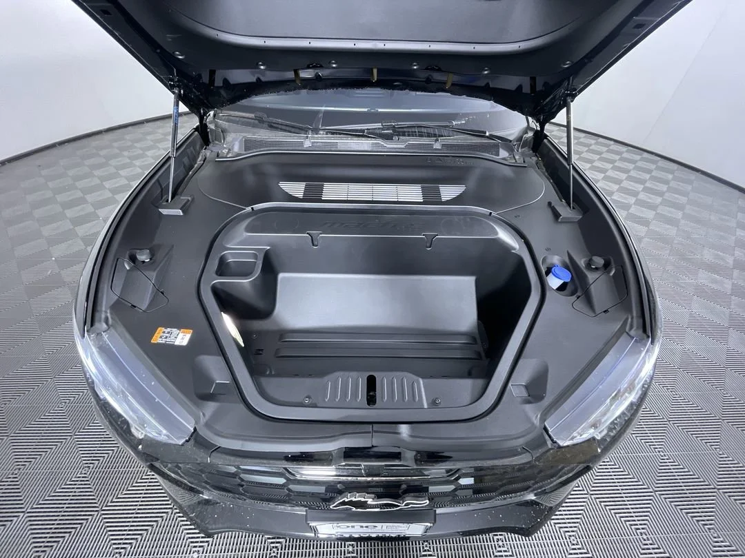 2025 Ford Mustang Mach-E GT - Photo 28