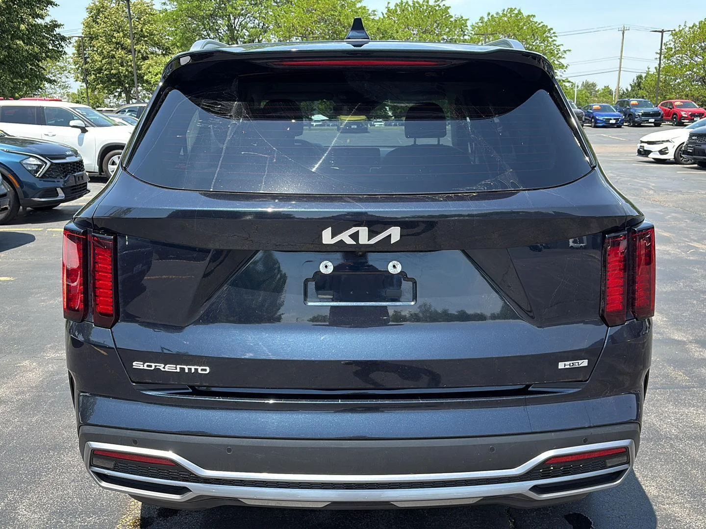 Used 2023 Gravity Blue Kia EX image 5