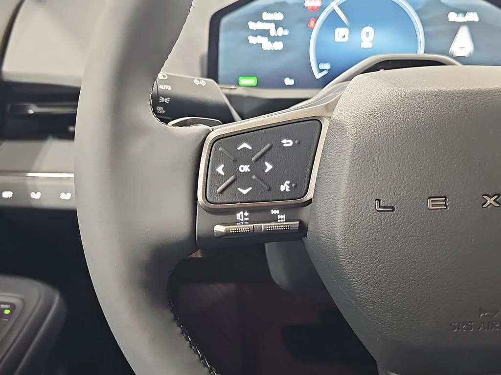 New 2026 Iridium Lexus PREMIUM image 16
