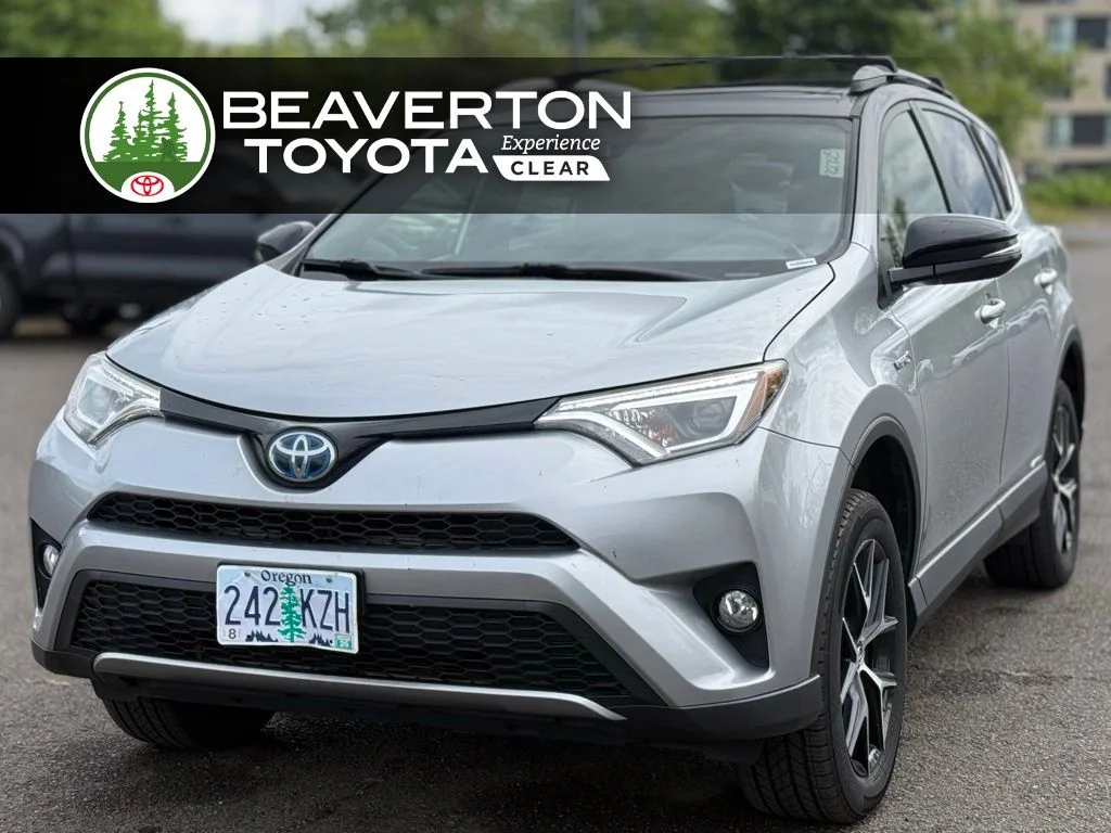 2018 Toyota RAV4 Hybrid SE AWD's photo