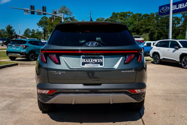 Used 2024 Amazon Gray Hyundai Limited image 5