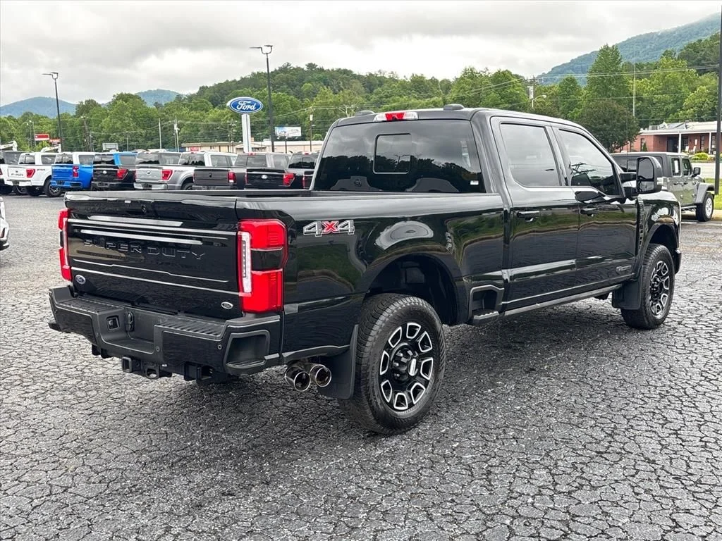 Used 2025 Black Ford Platinum image 8