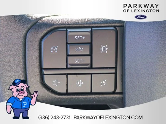 Used 2024 White Ford STX image 16