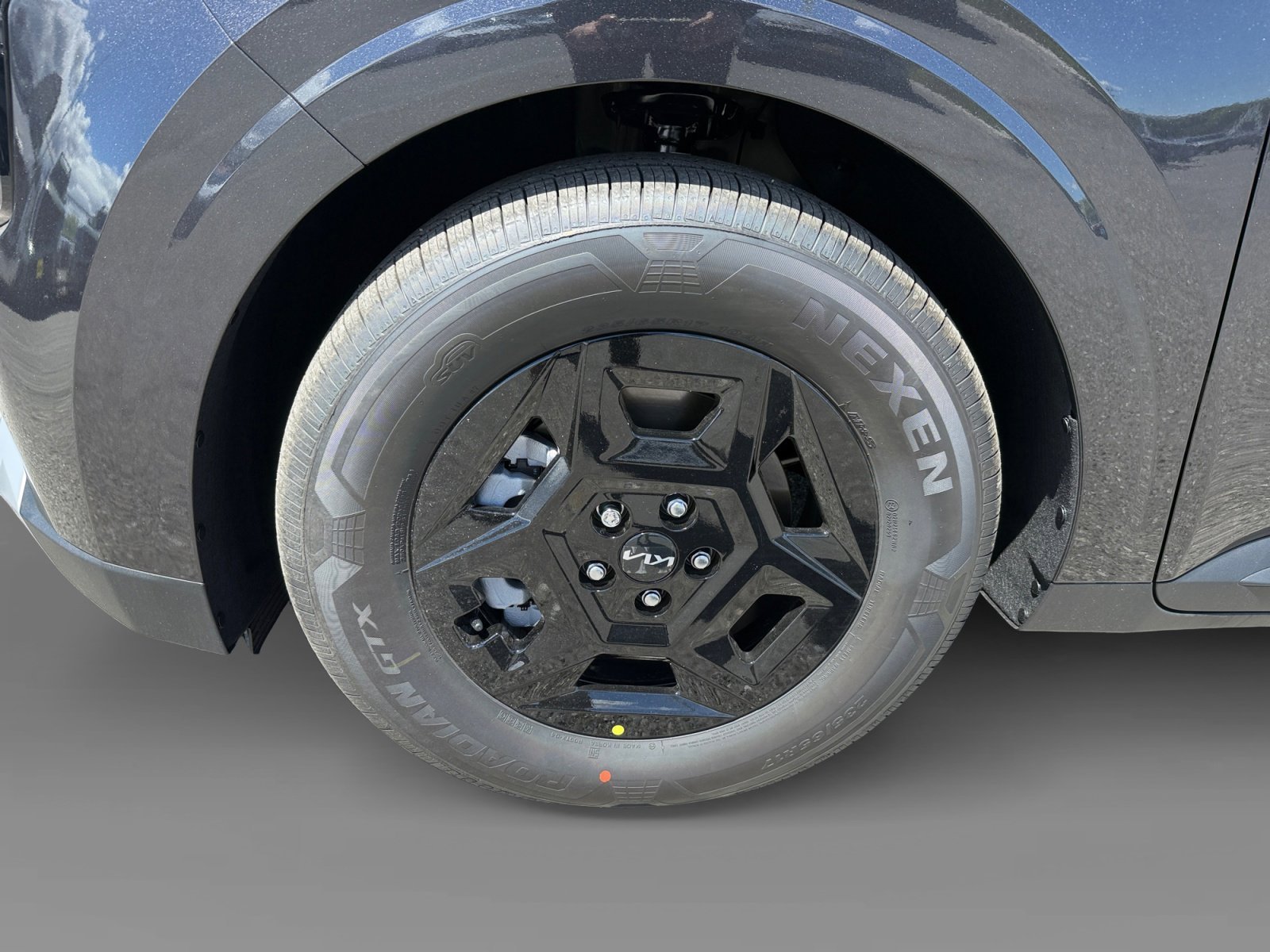 New 2026 Panthera Metal Kia LXS image 9