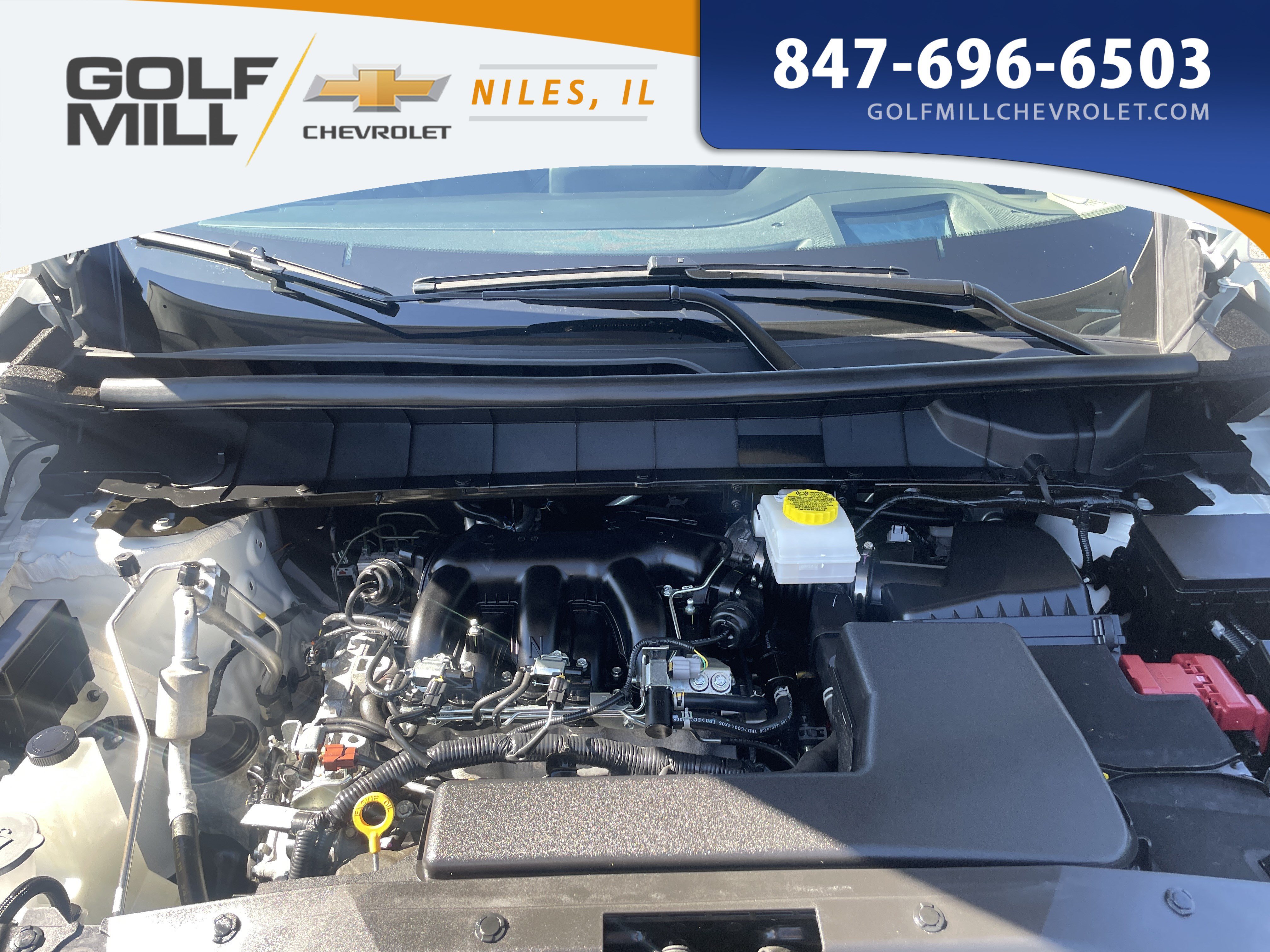 Used 2025 Everest White Pearl Tricoat Nissan Platinum image 9