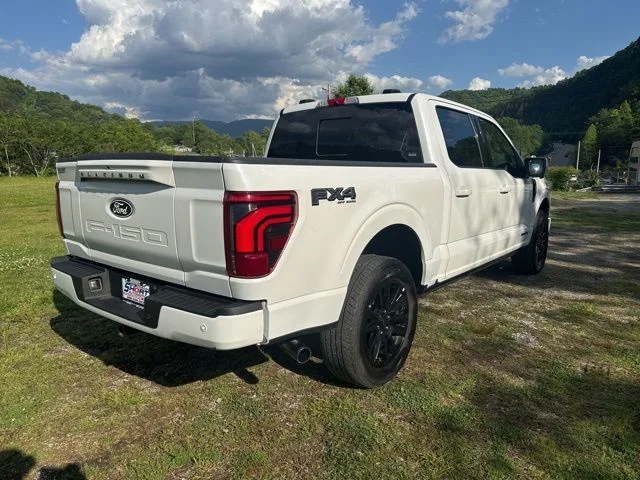 Used 2024 White Ford Platinum image 8