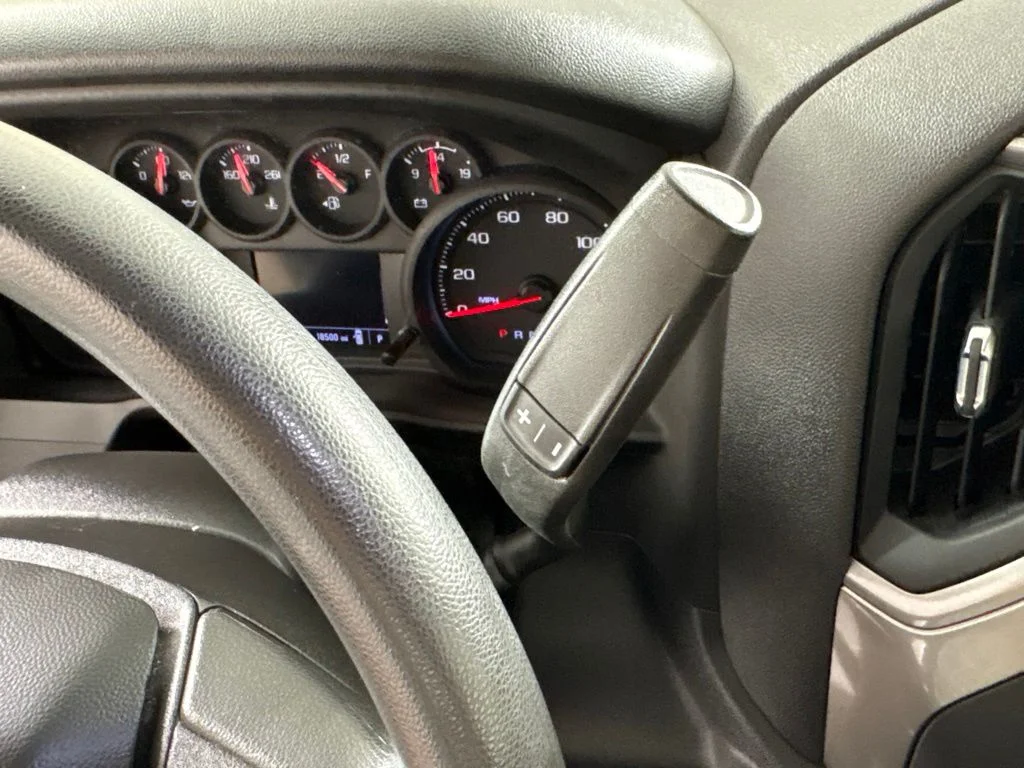 Used 2025 White Chevrolet WT image 28