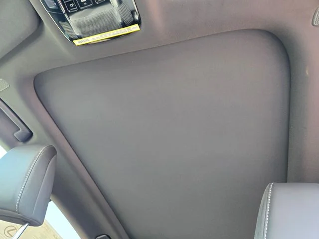 New 2026 Iridium Lexus LUXURY image 7
