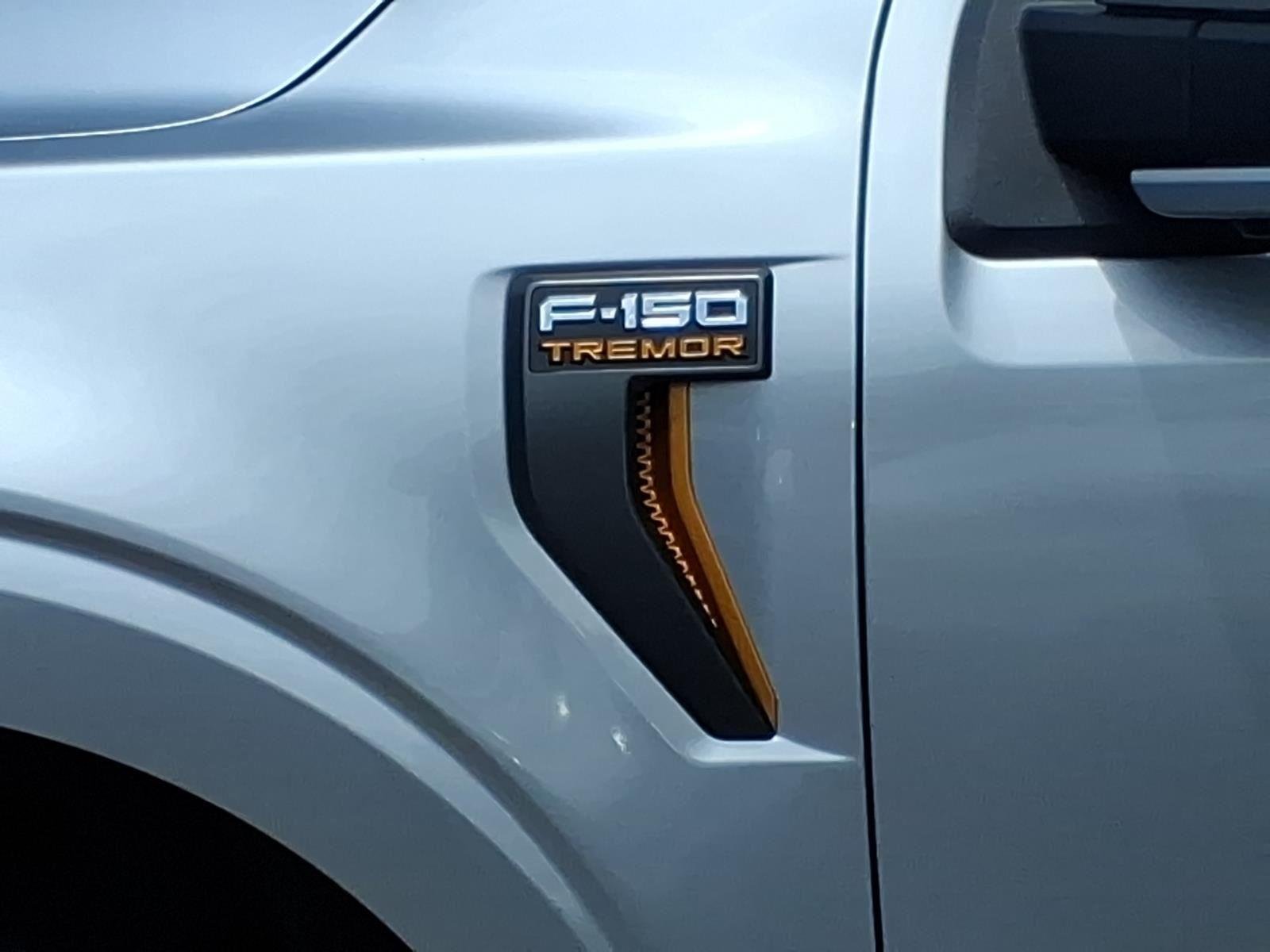 Used 2022 Iconic Silver Metallic Ford Tremor image 11