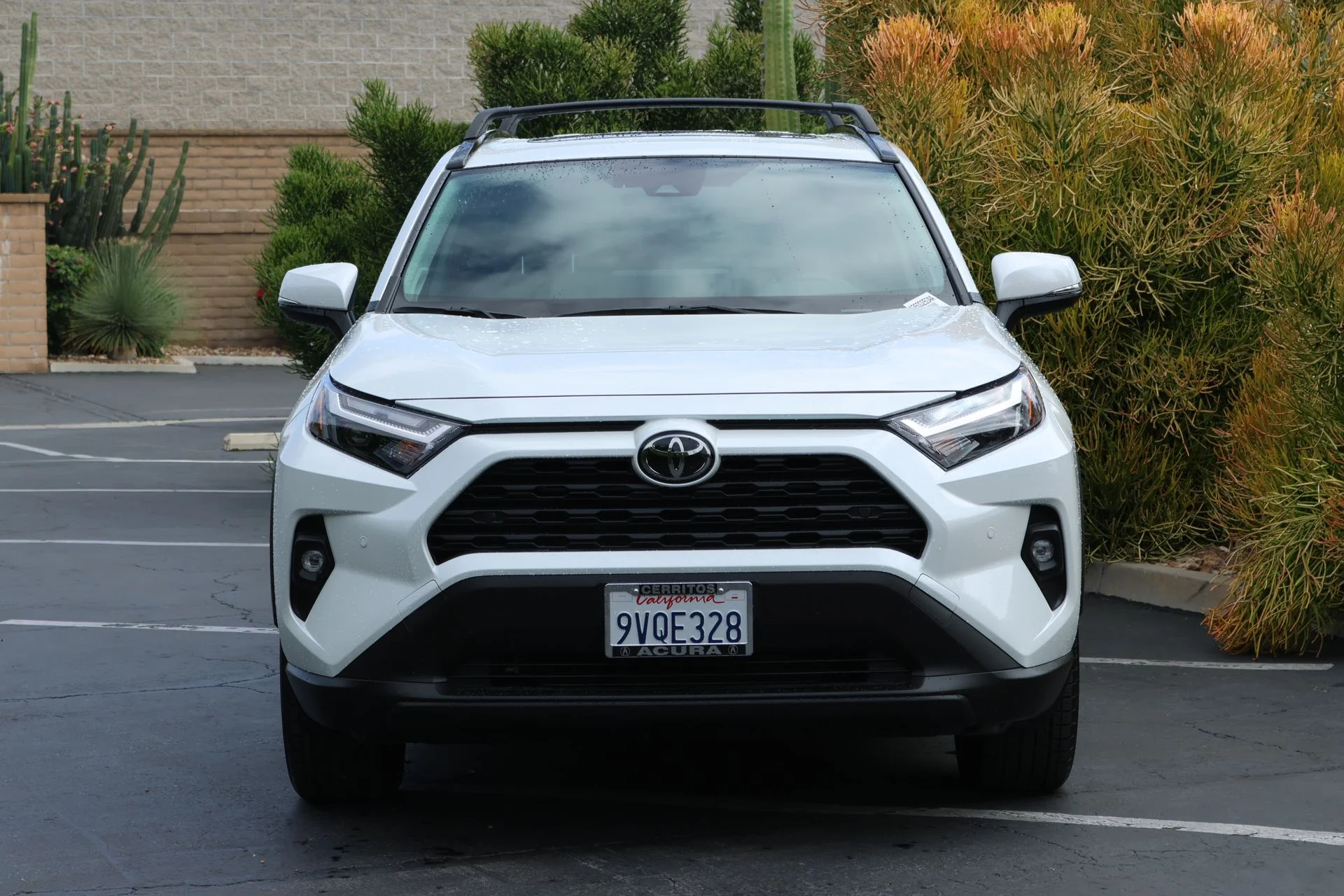 Used 2025 Beige Toyota XLE Premium image 3