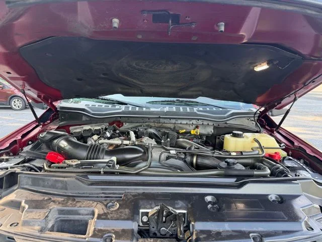 Certified Used 2019 Red Ford Platinum image 22