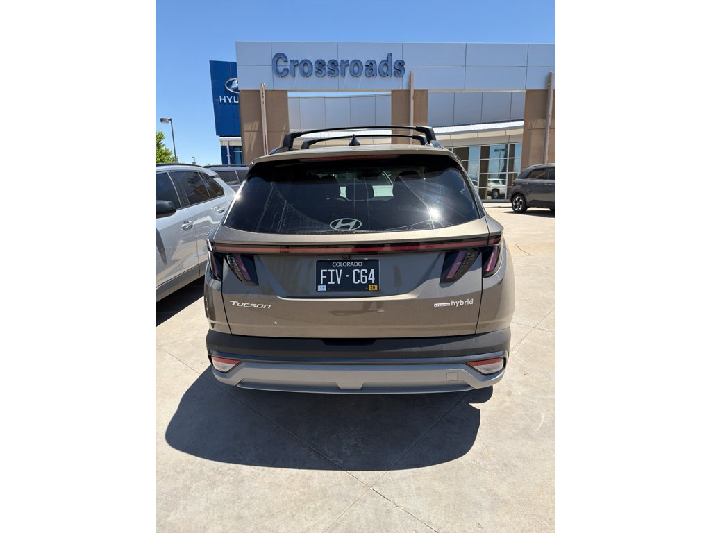 Used 2025 Cashmere Bronze Hyundai Limited image 5