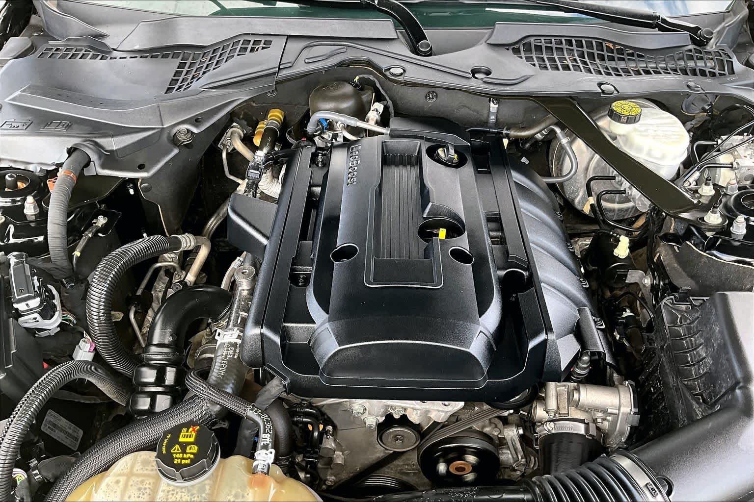 Used 2019 Shadow Black Ford EcoBoost Premium image 26