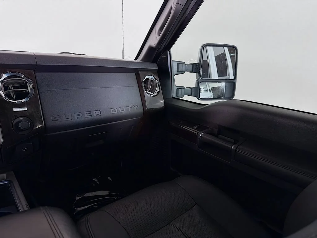 Used 2016 Silver Ford Platinum image 21