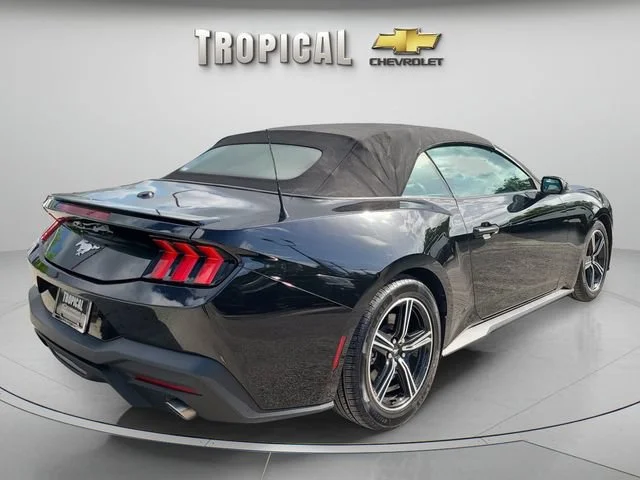 Used 2024 Black Ford EcoBoost image 5