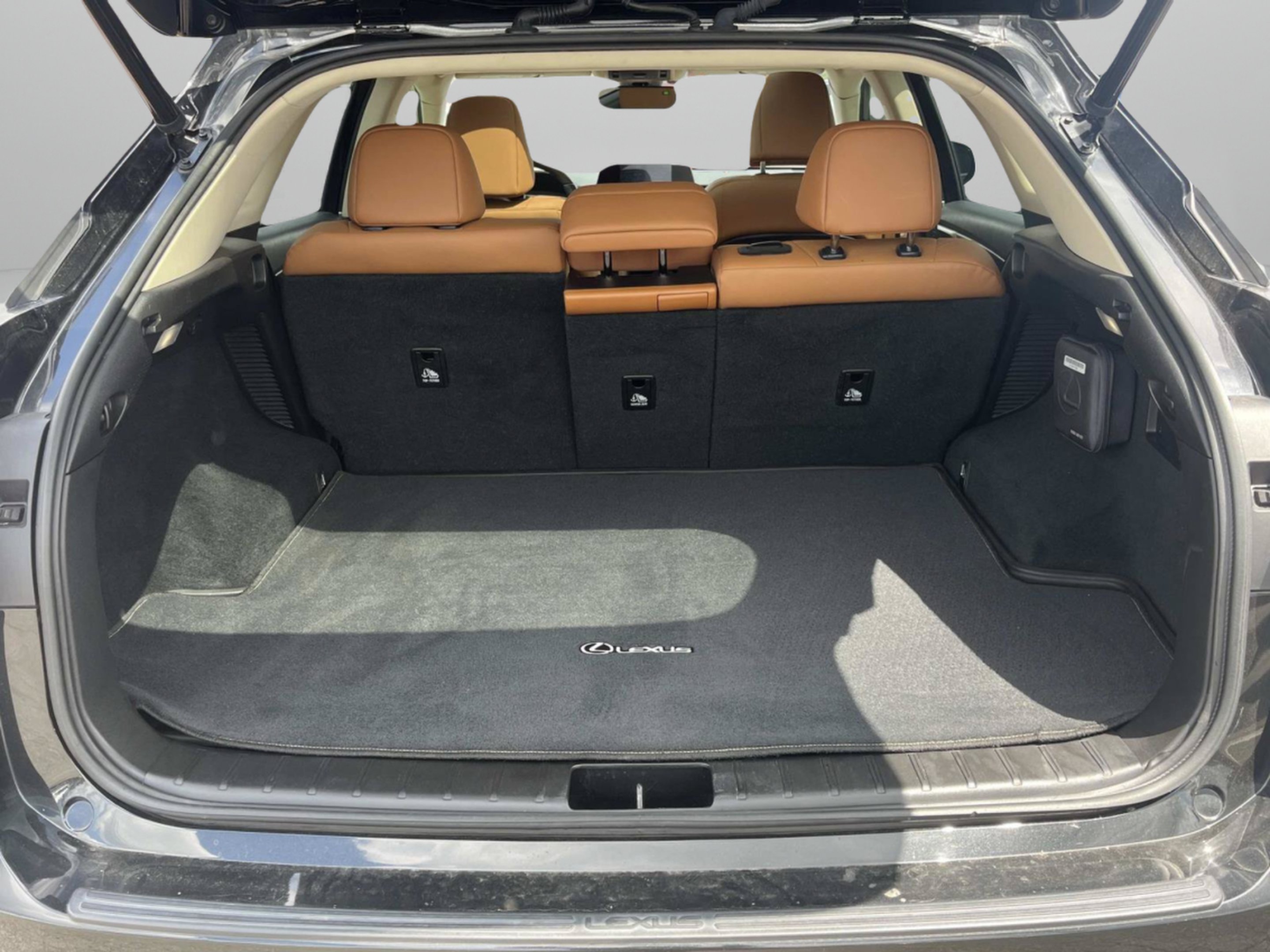 Used 2022 Caviar Lexus RX 450h image 18
