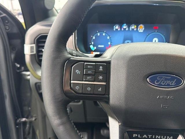 New 2026 Carbonized Gray Metallic Ford Platinum® image 83