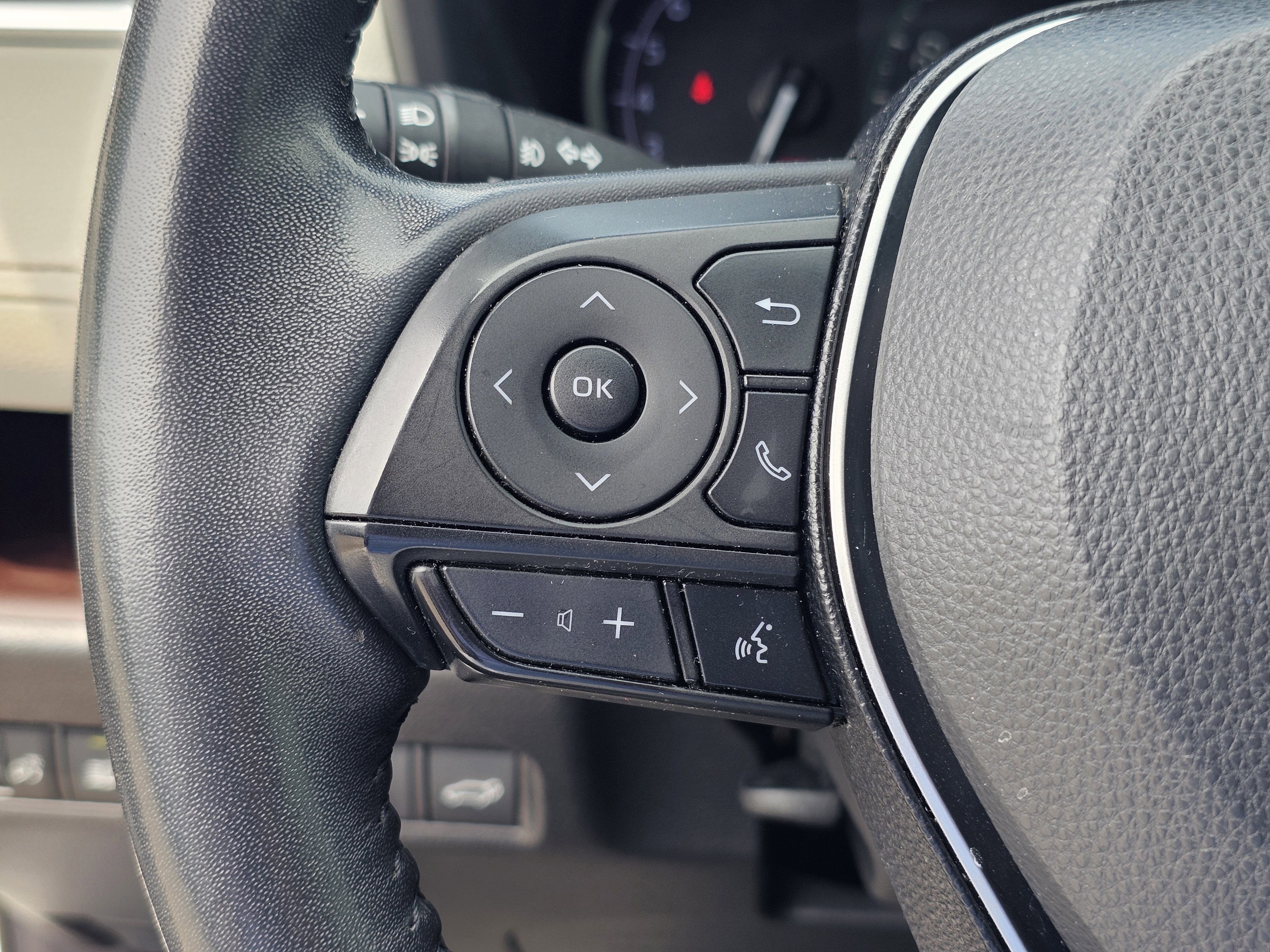 2019 Toyota RAV4 Limited - Photo 22