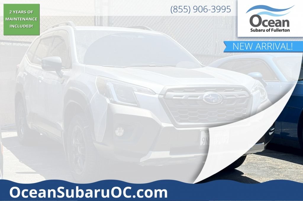 Used 2024 Silver Subaru Wilderness image 1