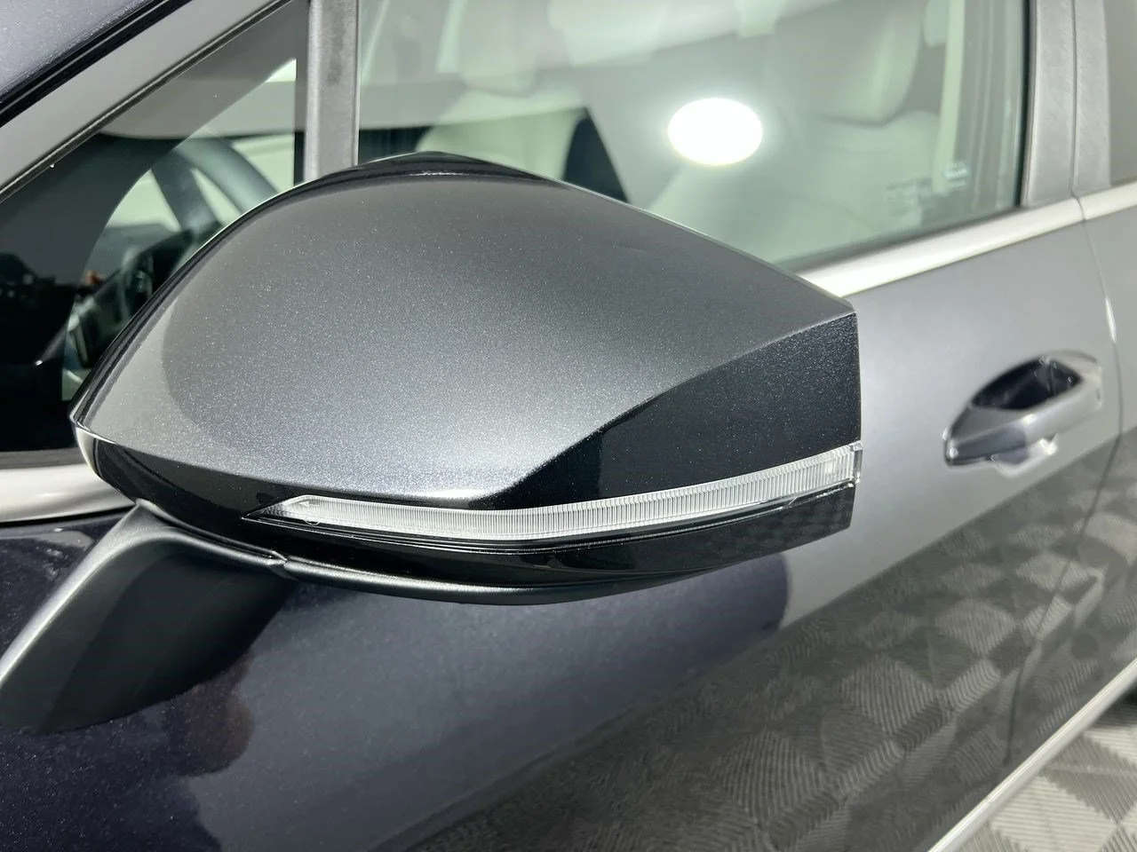 New 2026 Panthera Metal Kia EX image 9