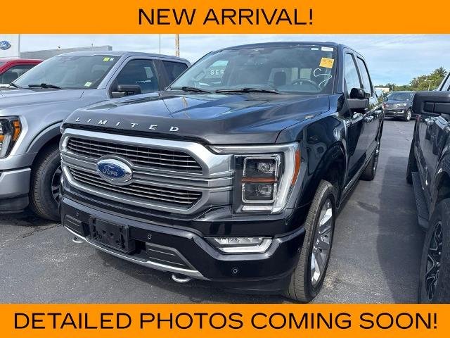 Used 2023 Black Metallic Ford Limited image 5