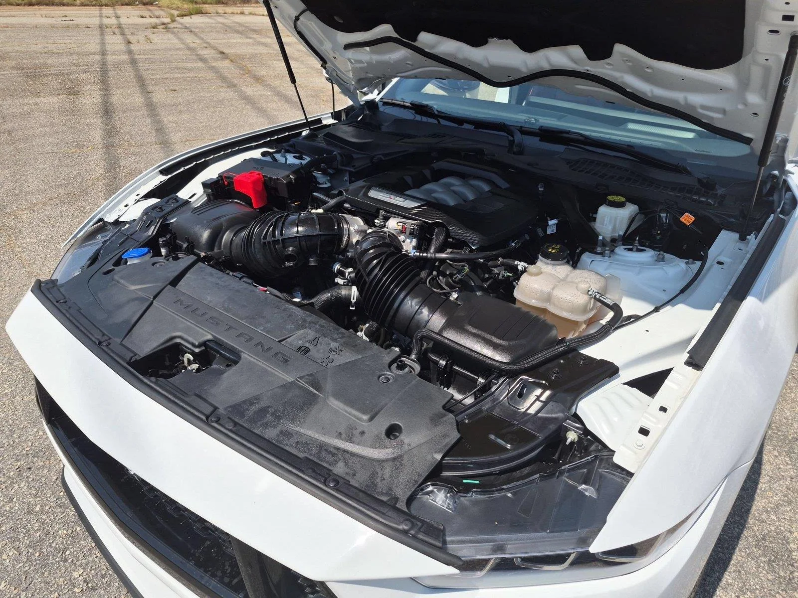 Used 2025 Oxford White Ford GT Premium image 32
