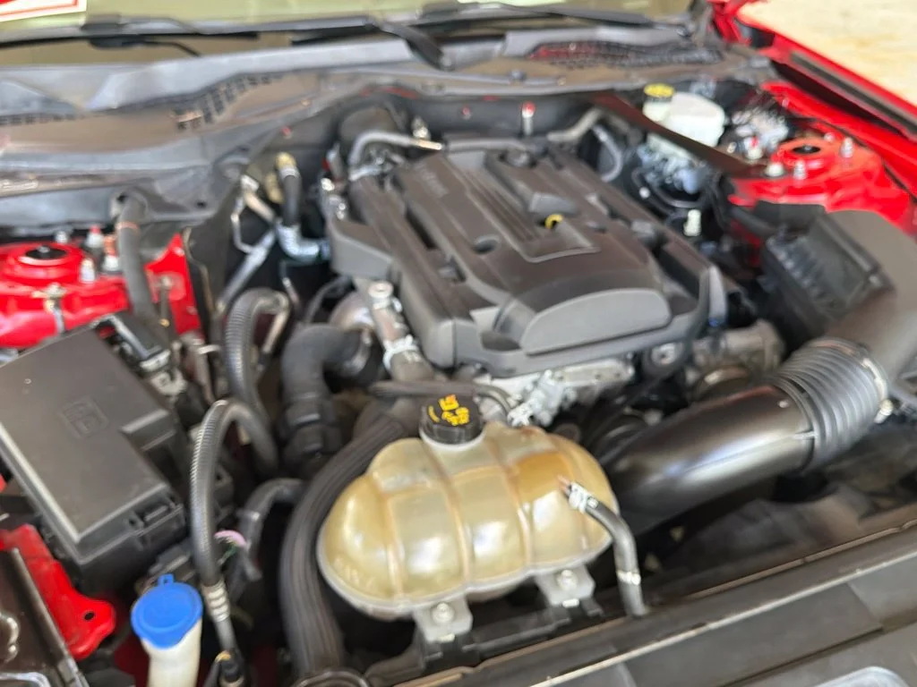 Used 2020 Red Ford EcoBoost Premium image 19