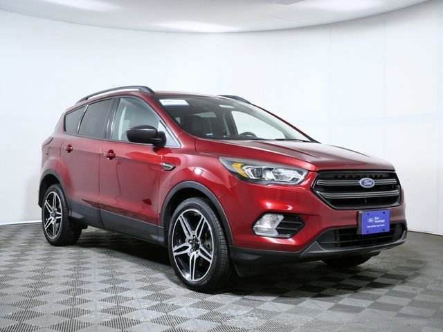 2019 Ford Escape SEL 4WD's photo